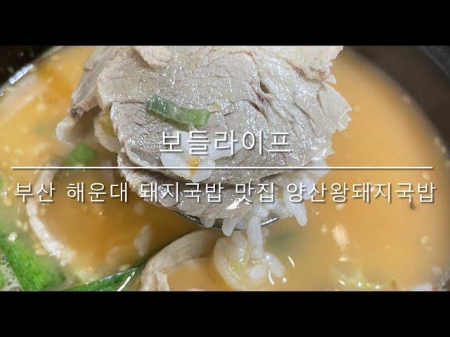 [보들라이프] 해운대 돼지국밥 맛집 양산왕돼지국밥!!