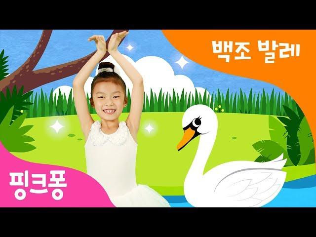 백조 발레 | 핑크퐁 체조 | 핑크퐁! 인기동요