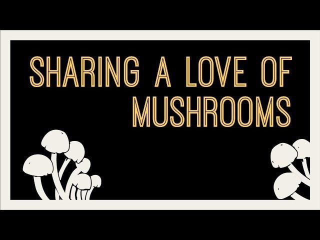 Yellow Elanor || Sharing a Love of Mushrooms with the World || Rachel Zoller