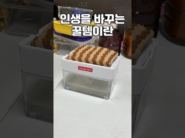 주방에 꼭 들여야할 것 #주방꿀템 #주방템 #디에디트 #디에디트라이프