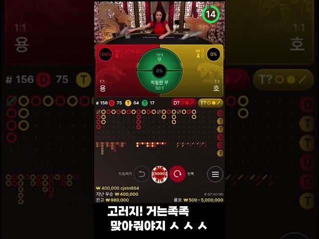 용호 적무의 중요성!! #에볼루션 #카지노 #바카라 #용호 #반바지