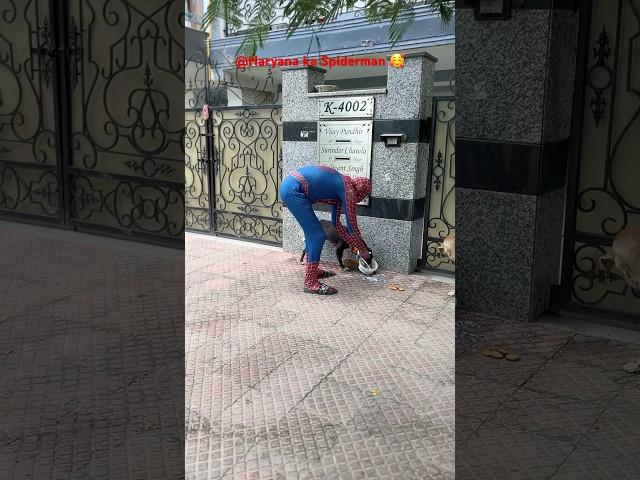 Spider-Man Parkour in real life! #shorts