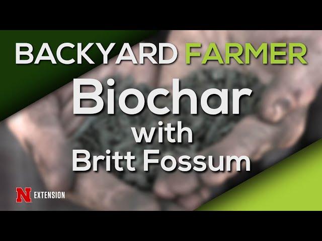 Biochar