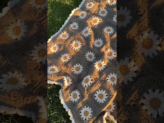 LEARNING CROCHET - PART 6 The Daisy Blanket #crochetforbeginners #crochet #crochetblanket