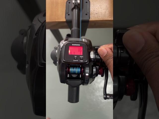 Shimano Plays 600 electric reels for bottom fishing, jigging and egging  #shimanoplays