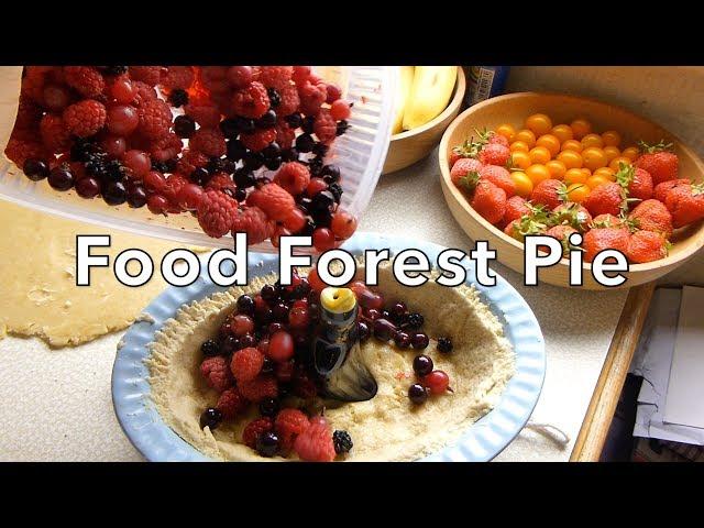 Food Forest Pie - Rob's Discovery (Episode 5)
