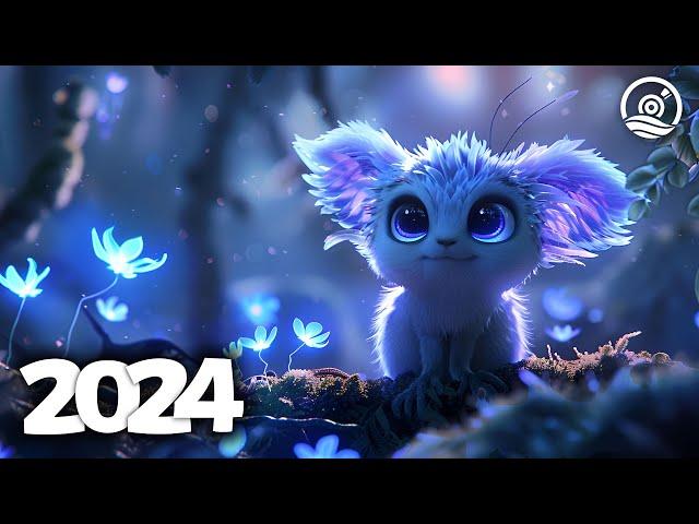 Music Mix 2024  EDM Mixes of Popular Songs  EDM Bass Boosted Music Mix #182