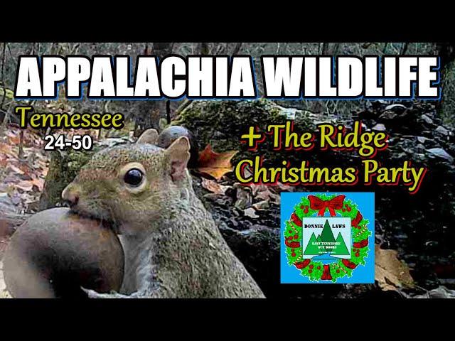 Appalachia Wildlife Video 24-50 of AS THE RIDGE TURNS in the Foothills of the Great Smoky Mountains