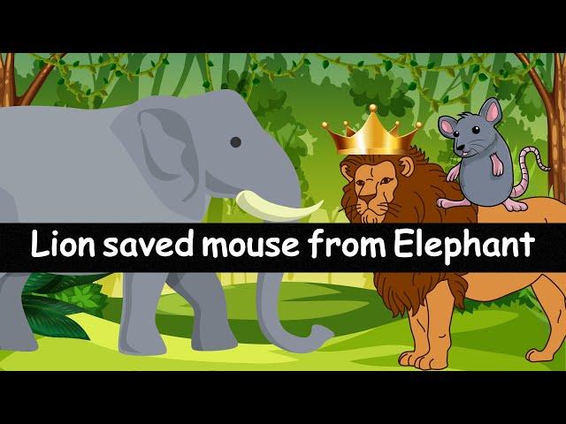 Lion Saved Mouse from Elephant || JUNGLE Diaries || Elephant mouse and Lion