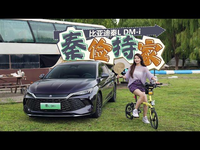 车若初见 | 初晓敏 | 秦俭持家 试驾比亚迪秦L DM-i  #byd #比亚迪 #比亚迪秦