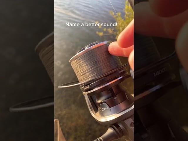 Best Song for Fisherman’s  Carprun #carpfishing #fishermanlife #carp #boiledfish #carprun