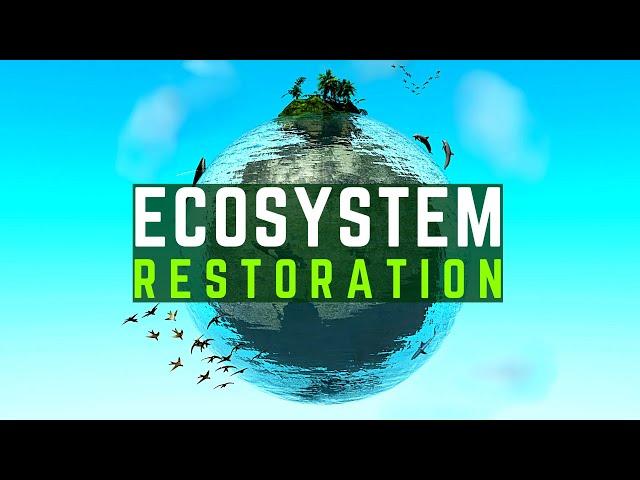 Why Ecosystem Restoration Matters: Saving Our Planet's Future