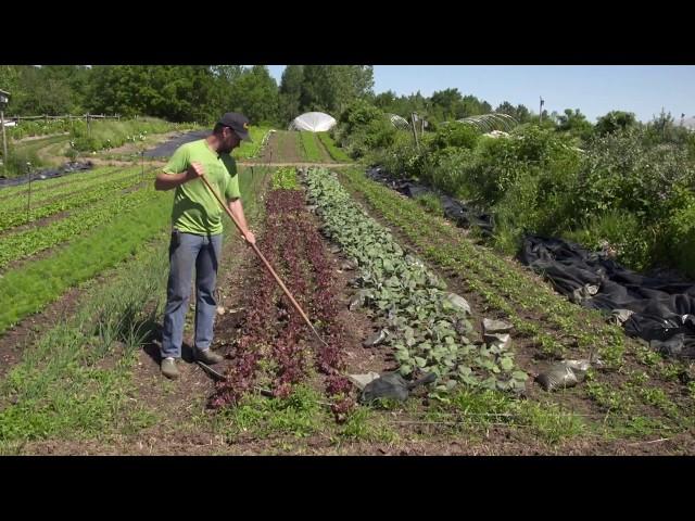 The Market Gardener's Masterclass: Tools!