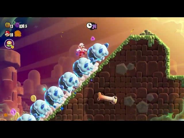 Bulrush Coming Through 100% Walkthrough Super Mario Wonder | All Coins and Wonder Seed Locations