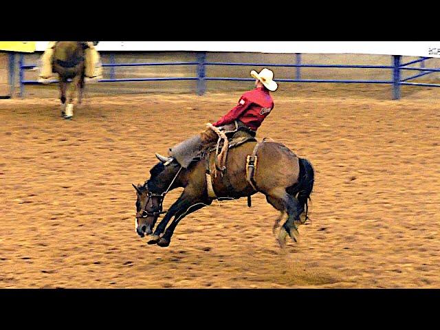 Ranch Broncs  - 2019 (32nd) Coors Cowboy Club Ranch Rodeo (Saturday)