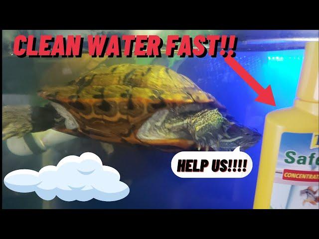 FIXING CLOUDY TURTLE OR FISH TANK WATER FAST | FRESHWATER HOW TO