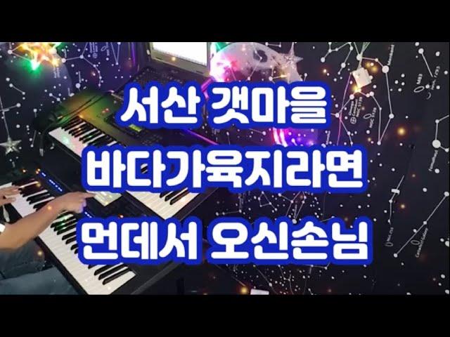 전자올겐연주/트로트메들리/서산갯마을,바다가육지라면,먼데서오신손님(조미미)