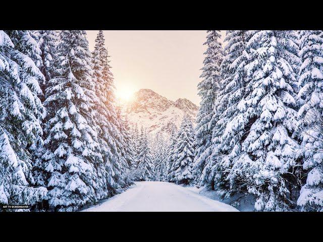 Winter Wonderland No Sound Art TV Screensaver background background background