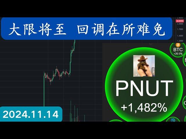 PUNT宠物松鼠币冲到47市值排名，预示着比特币要回调了！主力狗庄在卖出！加密货币的生命周期探讨，#回调 #meme #利好消息