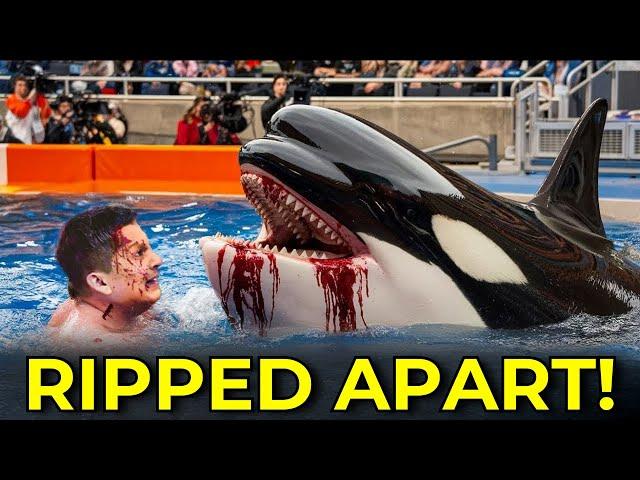 This BRUTAL Orca Attack On Trainer Alexis Martinez Left The World STUNNED