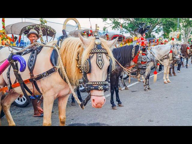 KUDA | KUDA DELMAN - NAIK KUDA ARAK ARAKAN | NAIK DELMAN, WHEELS ON THE BUS, SELAMAT ULANG TAHUN