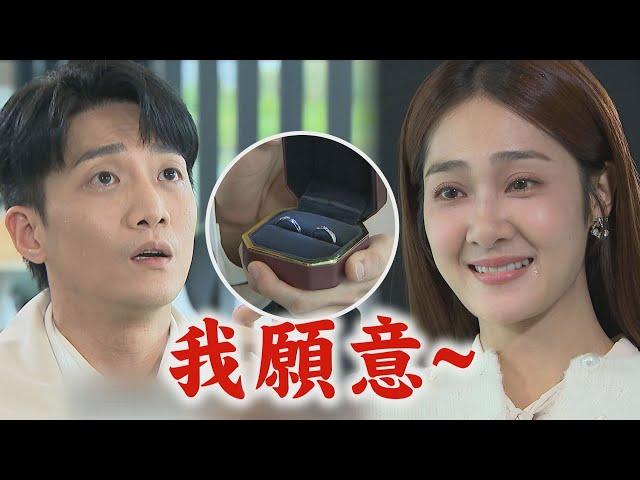 【願望】EP174 子維二次求婚冬雨終於抱得美人歸~~ 愛倫中計簽約投資基金!雅萱.顧成爽等錢到手｜完全娛樂