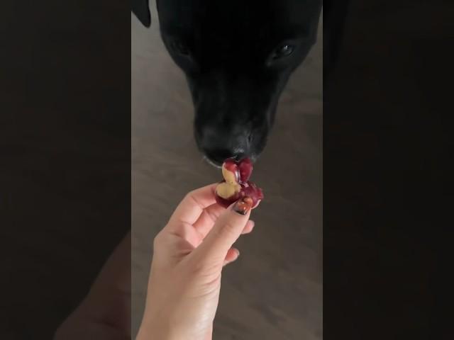 Pb&j inspired frozen dog treat recipe!