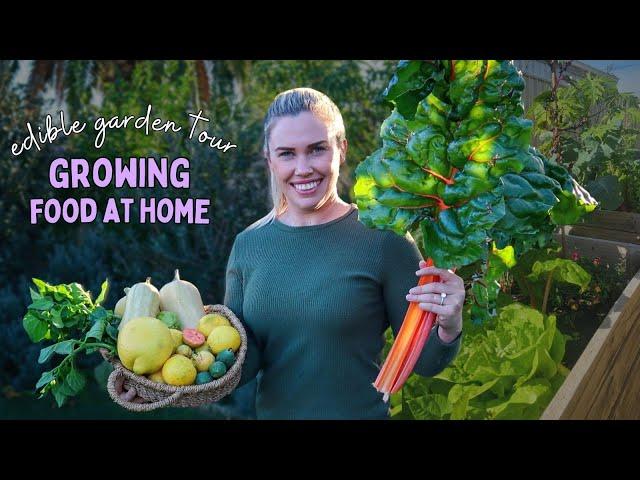 Explore Productive Edible Gardens in the Suburbs | full garden tour & harvest | urban permaculture