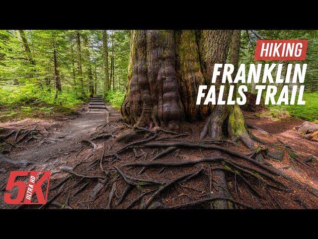 Easy Hike on Franklin Falls Trail - 5K Forest Walk for Relaxation or Indoor Workout