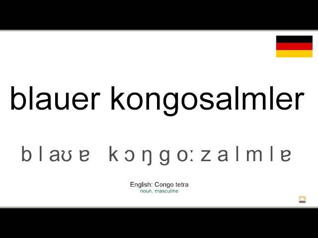 How to pronounce: Blauer kongosalmler (German)