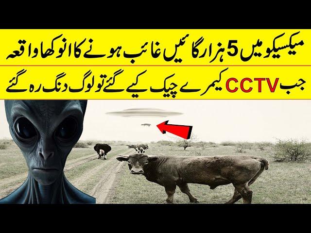 How Did NASA Spot Alien UFO | If Tv