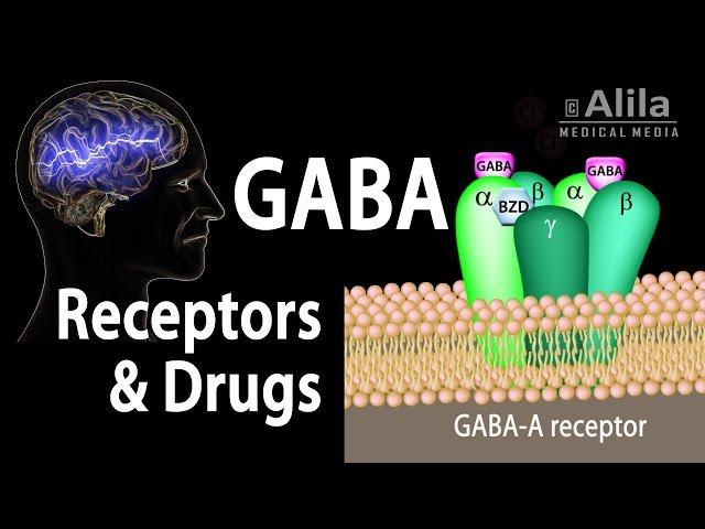 Neuroscience Basics: GABA Receptors and GABA Drugs, Animation