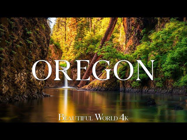 Oregon 4K - Majestic Fall Colors, Scenic Forest Trails, and Cascading Waterfalls - 4K VIDEO