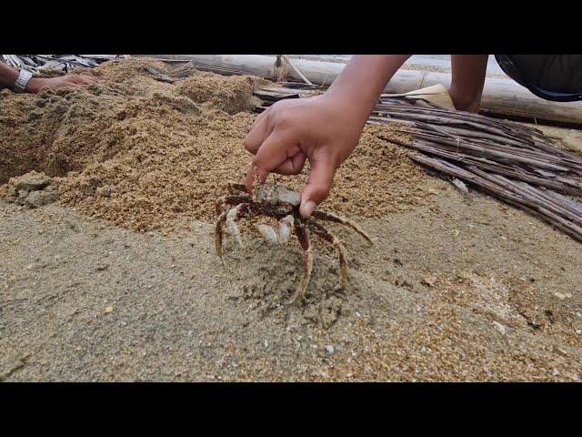 Underground Krabbenkampf |  Philippinen Vlog #2