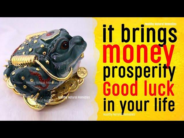 This thing brings money prosperity and Good luck in your life | Feng Shui, Vastu tips