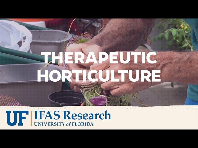 UF/IFAS Research | Therapeutic Horticulture