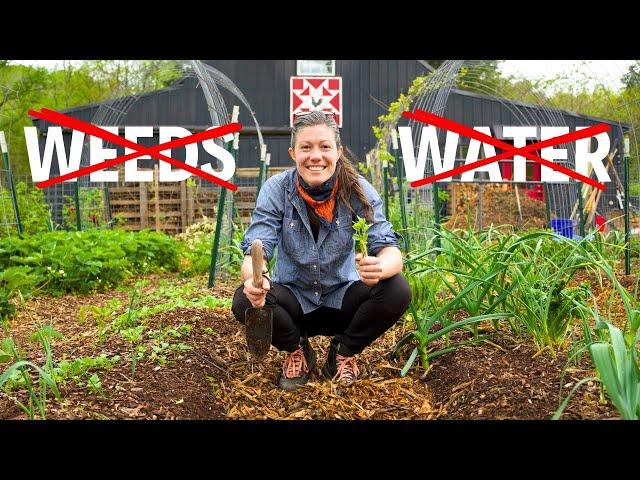 Start a Lazy Garden From Scratch | NEVER Weed/Water Again!