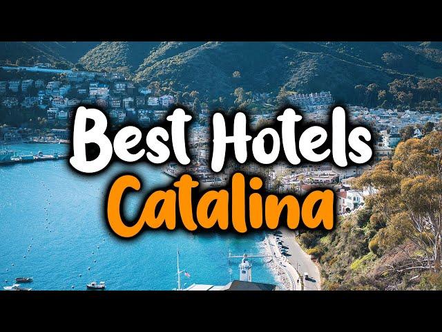 Best Hotels In Catalina, Arizona - For Families, Couples, Work Trips, Luxury & Budget