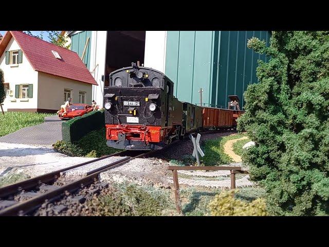 Sächsische Schmalspurbahn 2 LGB / Gartenbahn / Spur G