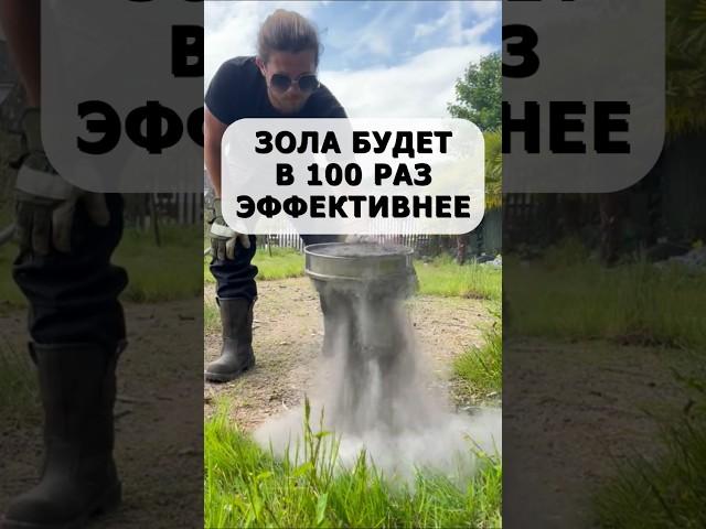 Зола будет в сто раз эффективнее! Как сделать зольную подкормку правильно #огород #дача #сад