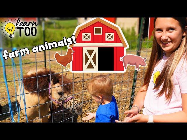 Farm Animals | Learn About Farm Animals for Kids | Farm Animals for Toddlers | Chickens Goats Horses