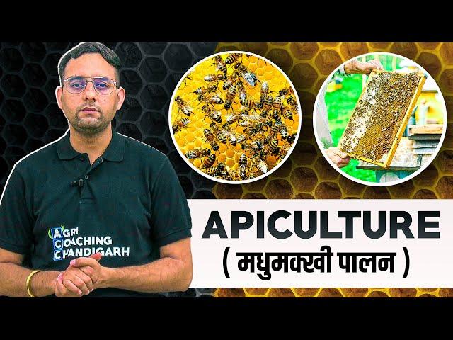 Apiculture | Honeybee Farming | Bee Keeping