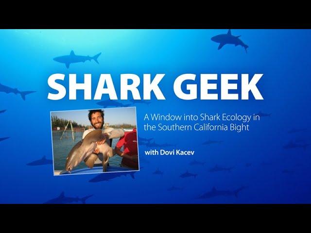 Shark Geek: A Window into Shark Ecology in the Southern California Bight