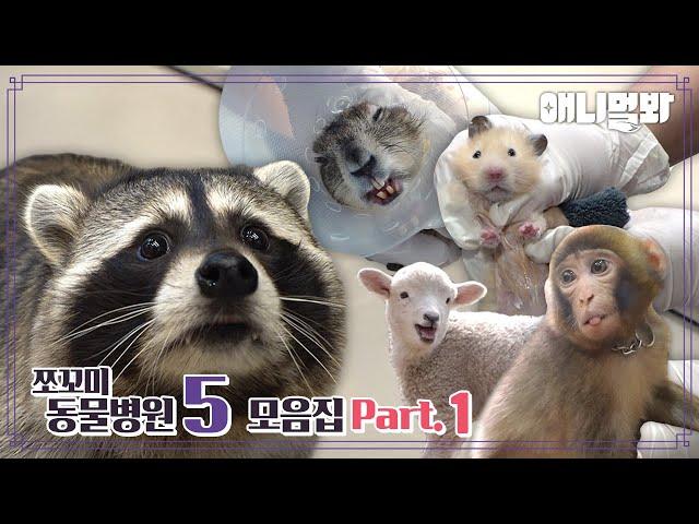 [쪼꼬미 동물병원5] 내원 환자 모음집 Part. 1ㅣ[Animal Hospital For Tiny Animals 5] Compilation Of Patients Part 1