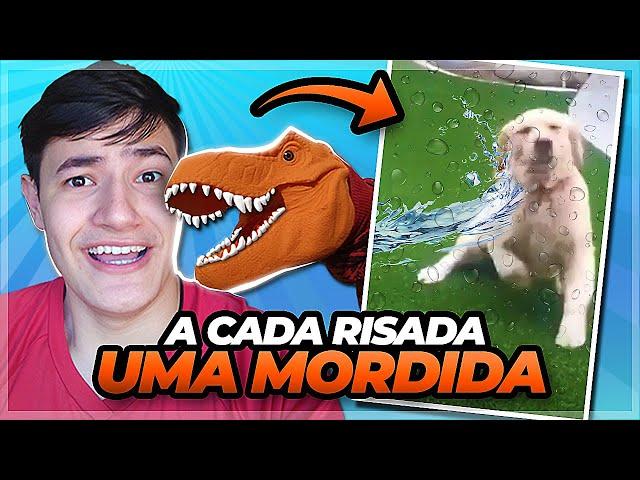 MOLHARAM O CACHORRO! A CADA RISADA UMA MORDIDA! #1