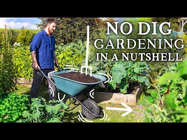 NO DIG Gardening Explained in 6 Minutes