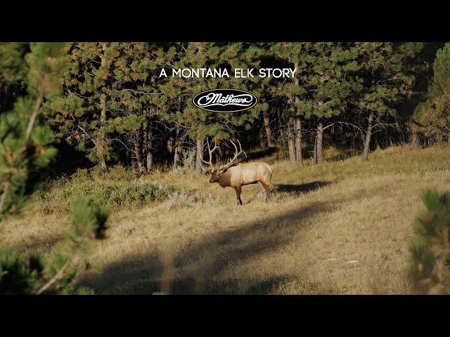 A Montana Elk Story - An RMEF Film