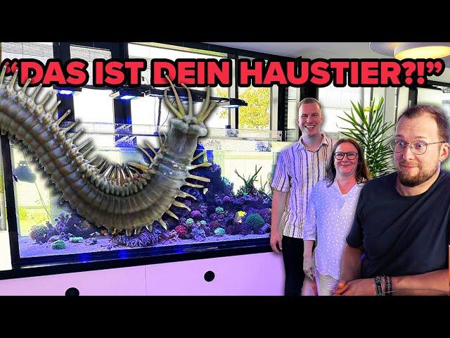 Aus TIERLIEBE - Frau hält Borstenwürmer im AQUARIUM