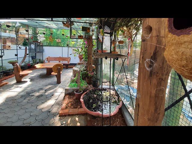 We Build a New Aviary and A Water Fountain in Garden | Beautiful Open Garden Birds Aviary in Home