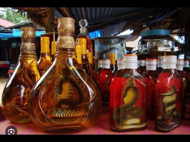 I am drinking a Lao Snake Whiskey for the first time. travel in Laos. yulichka wants it